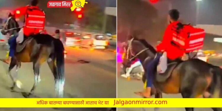 फूड डिलिव्हरी बॉयचा जुगाड : अशी केली व्यवस्था !