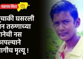 दुचाकी घसरली अन तरुणाच्या मानेची नस कापल्याने जागीच मृत्यू !