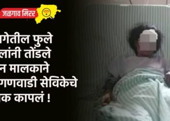 बागेतील फुले मुलांनी तोंडले अन मालकाने अंगणवाडी सेविकेचे नाक कापलं !