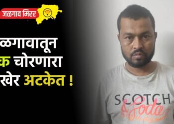 जळगावातून ट्रक चोरणारा अखेर अटकेत !