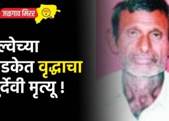 रेल्वेच्या धडकेत वृद्धाचा दुर्देवी मृत्यू