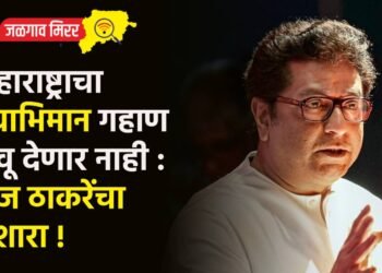 महाराष्ट्राचा स्वाभिमान गहाण ठेवू देणार नाही : राज ठाकरेंचा इशारा !