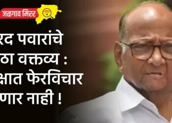 शरद पवारांचे मोठा वक्तव्य : पक्षात फेरविचार होणार नाही !