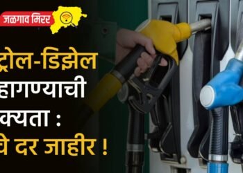 पेट्रोल-डिझेल महागण्याची शक्यता : नवे दर जाहीर !