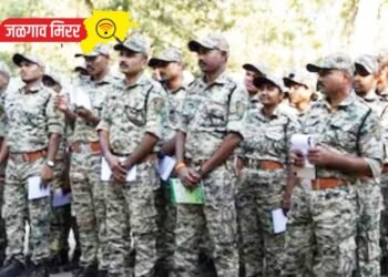 तरुणांचे सरकारी नोकरीचे स्वप्न होणार पूर्ण : १२५६ पदाची होणार वन विभागात भरती !