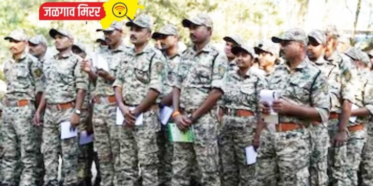 तरुणांचे सरकारी नोकरीचे स्वप्न होणार पूर्ण : १२५६ पदाची होणार वन विभागात भरती !