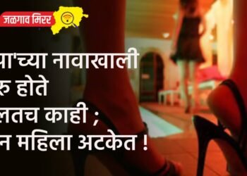 ‘स्पा’च्या नावाखाली सुरु होते भलतच काही ; दोन महिला अटकेत !