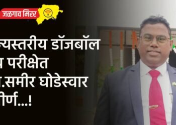 राज्यस्तरीय डॉजबॉल पंच परीक्षेत प्रा.समीर घोडेस्वार उत्तीर्ण…!