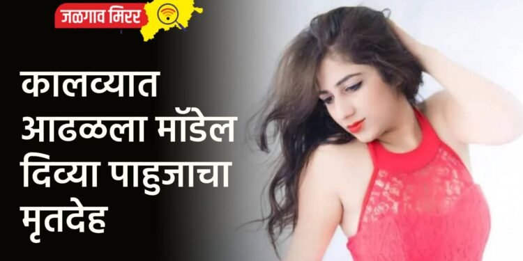 कालव्यात आढळला मॉडेल दिव्या पाहुजाचा मृतदेह