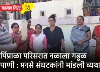पिंप्राळा परिसरात नळाला गढूळ पाणी : मनसे संघटकांनी मांडली व्यथा !