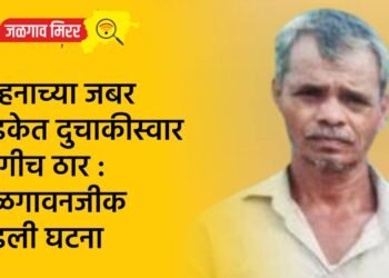 वाहनाच्या जबर धडकेत दुचाकीस्वार जागीच ठार : जळगावनजीक घडली घटना