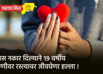 जनतेला मिळणार दिलासा : निवडणुकीपूर्वी होणार पेट्रोल १० रुपयांनी स्वस्त !