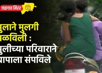 मुलाने मुलगी पळविली : मुलीच्या परिवाराने बापाला संपविले