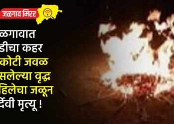 जळगावात थंडीचा कहर : शेकोटी जवळ बसलेल्या वृद्ध महिलेचा जळून दुर्देवी मृत्यू !
