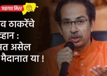 उद्धव ठाकरेंचे आव्हान : हिंमत असेल तर मैदानात या !