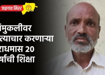 चिमुकलीवर अत्याचार करणाऱ्या नराधमास २० वर्षाची शिक्षा