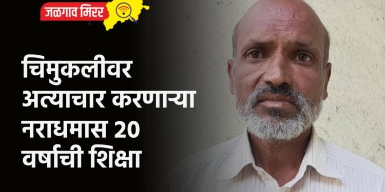 चिमुकलीवर अत्याचार करणाऱ्या नराधमास २० वर्षाची शिक्षा