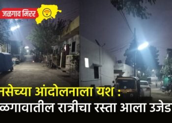 मनसेच्या आंदोलनाला यश : जळगावातील रात्रीचा रस्ता आला उजेडात !