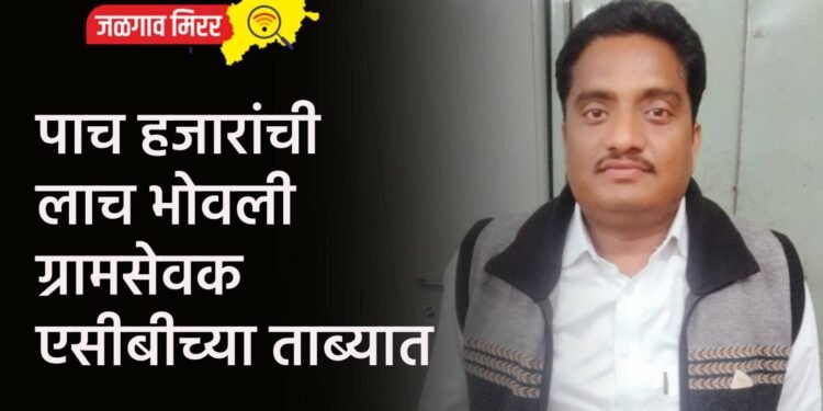 पाच हजारांची लाच भोवली : ग्रामसेवक एसीबीच्या ताब्यात