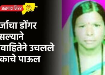 कर्जाचा डोंगर असल्याने विवाहितेने उचलले टोकाचे पाऊल