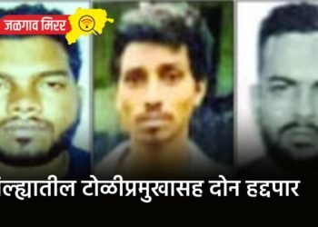 जिल्ह्यातील टोळीप्रमुखासह दोन हद्दपार