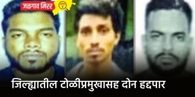 जिल्ह्यातील टोळीप्रमुखासह दोन हद्दपार