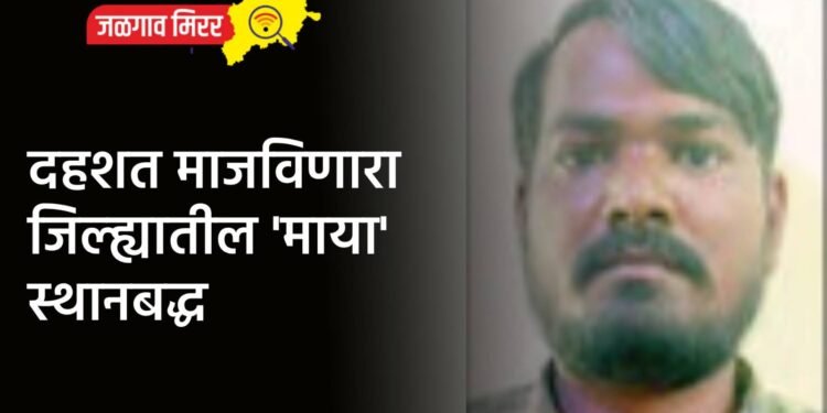 दहशत माजविणारा जिल्ह्यातील ‘माया’ स्थानबद्ध