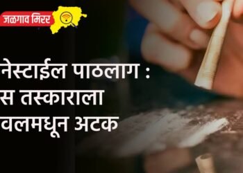 सिनेस्टाईल पाठलाग : ड्रग्स तस्काराला यावलमधून अटक