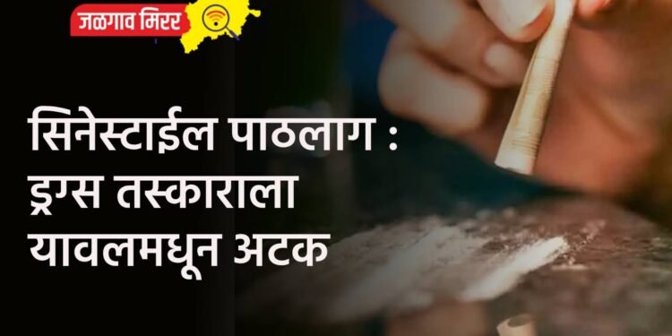 सिनेस्टाईल पाठलाग : ड्रग्स तस्काराला यावलमधून अटक