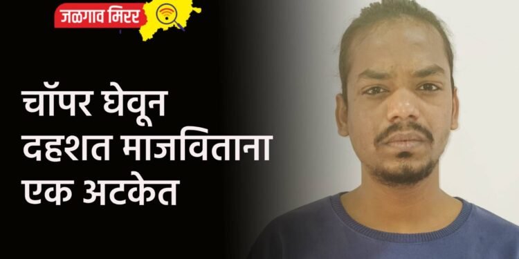 चॉपर घेवून दहशत माजविताना एक अटकेत