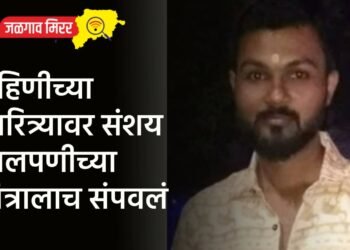 बहिणीच्या चारित्र्यावर संशय : बालपणीच्या मित्रालाच संपवलं