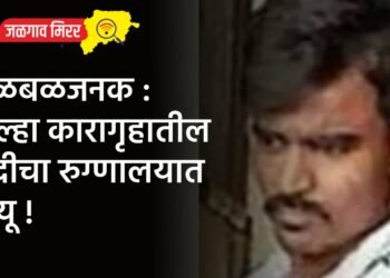 खळबळजनक : जिल्हा कारागृहातील कैदीचा रुग्णालयात मृत्यू !