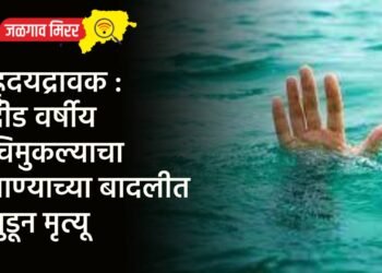ह्र्दयद्रावक : दीड वर्षीय चिमुकल्याचा पाण्याच्या बादलीत बुडून मृत्यू