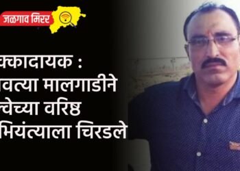 धक्कादायक : धावत्या मालगाडीने रेल्वेच्या वरिष्ठ अभियंत्याला चिरडले
