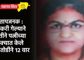 संतापजनक : नोकरी गेल्याने पतीने पत्नीच्या डोक्यात केले हातोडीने १२ वार