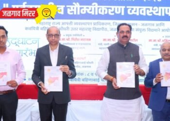 आपत्तीचे पूर्वसूचना देणाऱ्या स्वत:च्या ‘सॅटेलाईट’ साठी शासन प्रयत्नशील – मंत्री अनिल पाटील