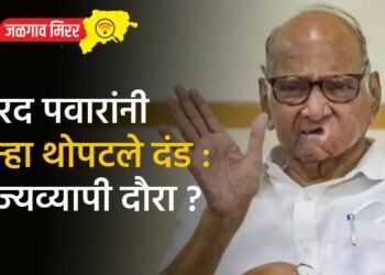 शरद पवारांनी पुन्हा थोपटले दंड : राज्यव्यापी दौरा ?