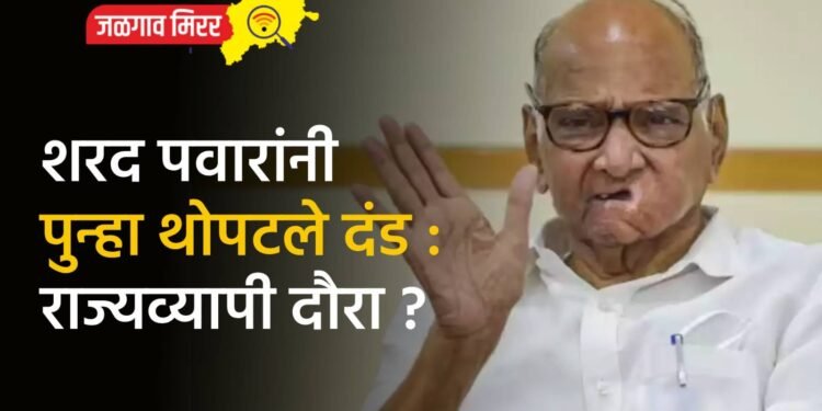 शरद पवारांनी पुन्हा थोपटले दंड : राज्यव्यापी दौरा ?