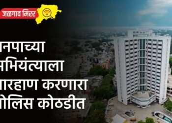 मनपाच्या अभियंत्याला मारहाण करणारा पोलिस कोठडीत