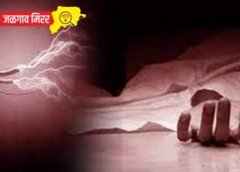 वृद्ध महिलेला विजेचा धक्का बसल्याने मृत्यू