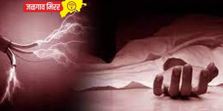 वृद्ध महिलेला विजेचा धक्का बसल्याने मृत्यू