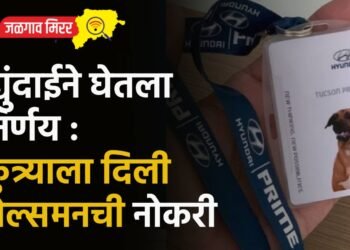 ह्युंदाईने घेतला निर्णय : कुत्र्याला दिली सेल्समनची नोकरी