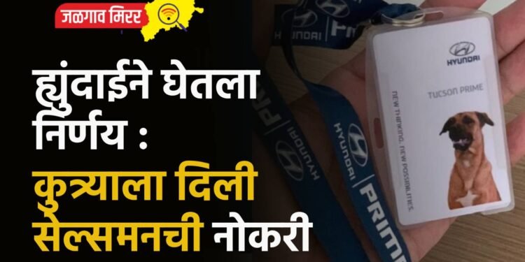 ह्युंदाईने घेतला निर्णय : कुत्र्याला दिली सेल्समनची नोकरी