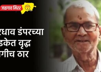 भरधाव डंपरच्या धडकेत वृद्ध जागीच ठार