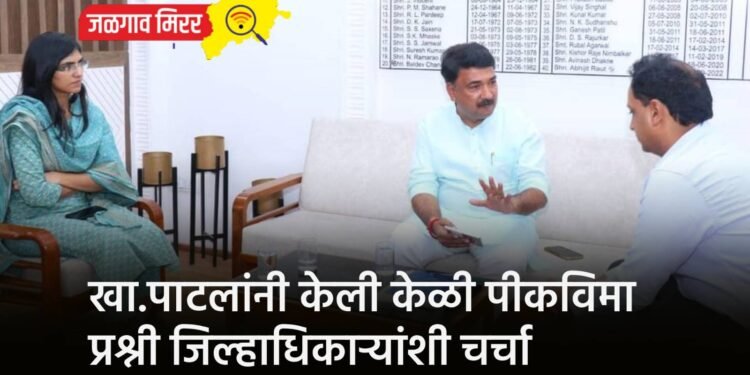 खा.पाटलांनी केली केळी पीकविमा प्रश्नी जिल्हाधिकाऱ्यांशी चर्चा