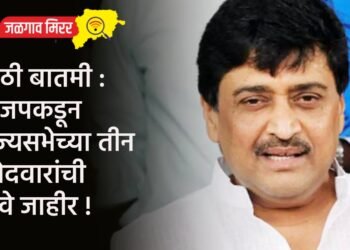 मोठी बातमी : भाजपकडून राज्यसभेच्या तीन उमेदवारांची नावे जाहीर !