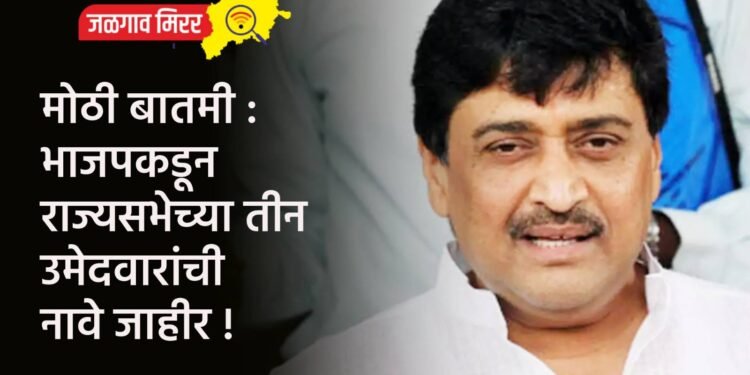मोठी बातमी : भाजपकडून राज्यसभेच्या तीन उमेदवारांची नावे जाहीर !