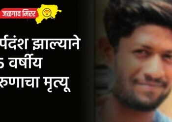 सर्पदंश झाल्याने २५ वर्षीय तरुणाचा मृत्यू