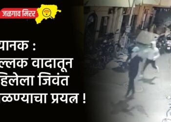 भयानक : शुल्लक वादातून महिलेला जिवंत जाळण्याचा प्रयत्न !