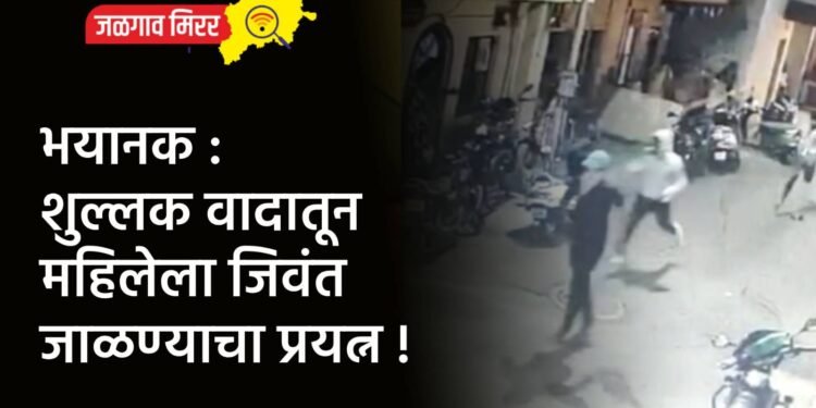 भयानक : शुल्लक वादातून महिलेला जिवंत जाळण्याचा प्रयत्न !